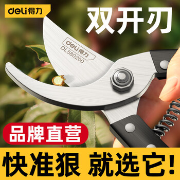 Labor-Saving Heavy Branch Pruner photo 2